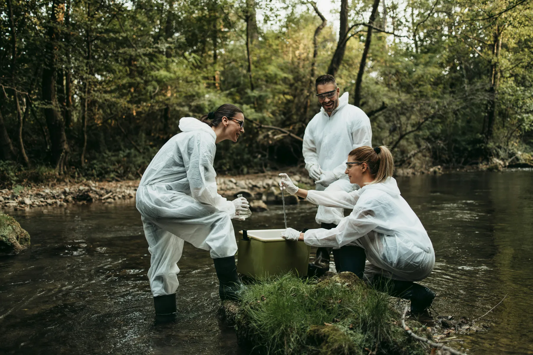 The Rewilding Experiment That Worked Against All Odds