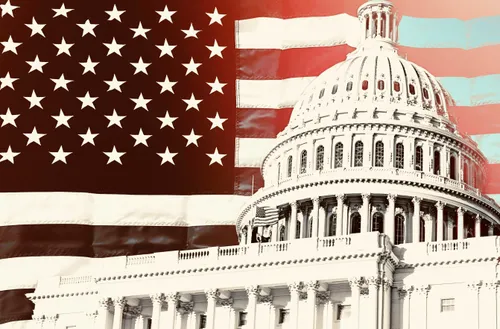 The Fungal Network Beneath Your Feet Is Running the Show