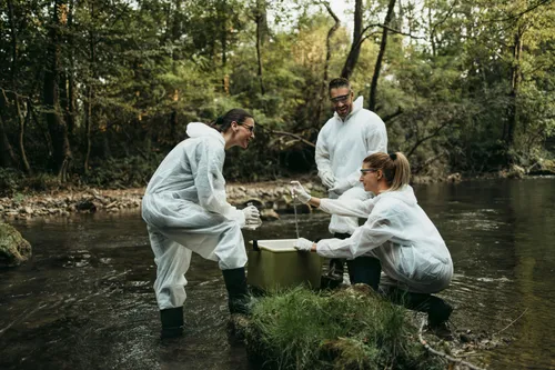 The Rewilding Experiment That Worked Against All Odds